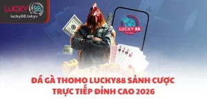 đá gà Thomo