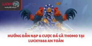 Hướng Dẫn Nạp Và Cược Đá Gà Thomo Tại Lucky888 An Toàn